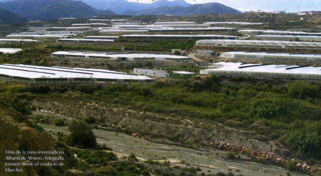 Vista de la zona invernada en Alhama de Almeria