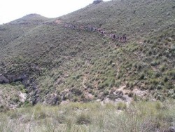 Vía romana Alhama - Almería