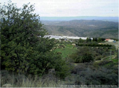 Cuesta de los algarrobos