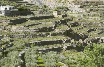 Alicún y Cerro de Marchena